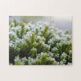 Puzzle Macros de otoño verdes hermosas plantas escarpadas