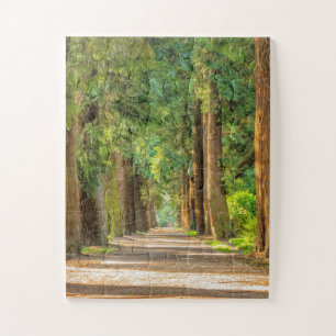 PUZZLE MADERA FORESTAL TRANSMISIÓN TRANQUILA JIGSAW PUZZL