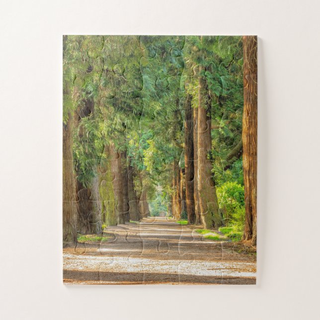 PUZZLE MADERA FORESTAL TRANSMISIÓN TRANQUILA JIGSAW PUZZL (Vertical)
