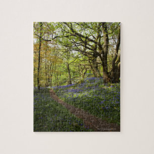Puzzle Maderas del bluebell de la primavera