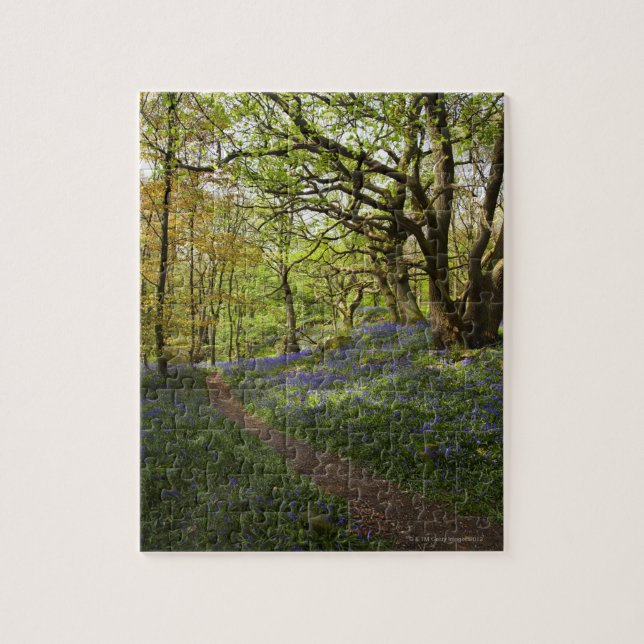 Puzzle Maderas del bluebell de la primavera (Vertical)