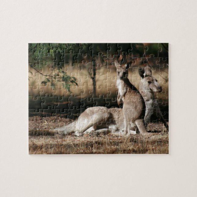 Puzzle Madre canguro y Joey Relaxing (Horizontal)