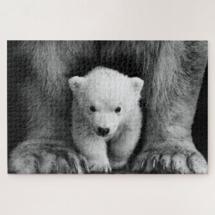 Puzzle Madre Con Bebé Oso Polar Vida Silvestre Rompecabez