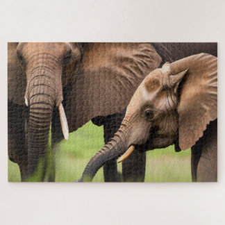 Puzzle Madre e hijo elefante