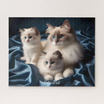 Madre Gato Ragdoll y gatitos en azul