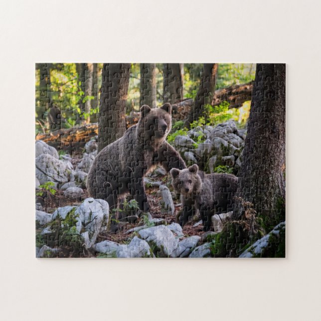 Puzzle Madre Oso Y Eslovenia De Cubo (Horizontal)