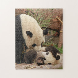 Puzzle Madre y bebé, animal, panda, fotografía de osoAnim