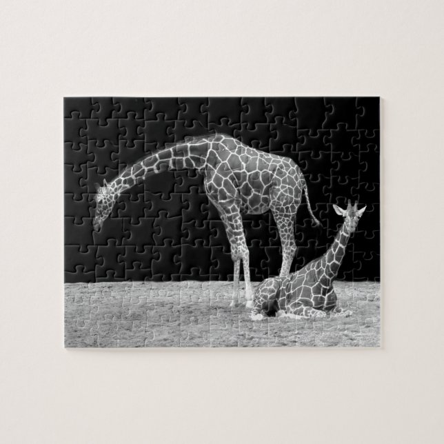 Puzzle Madre y bebé jirafas en blanco y negro (Horizontal)