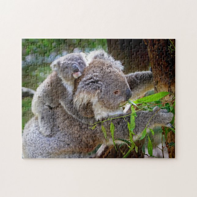 Puzzle Madre y bebé koala en un árbol (Horizontal)