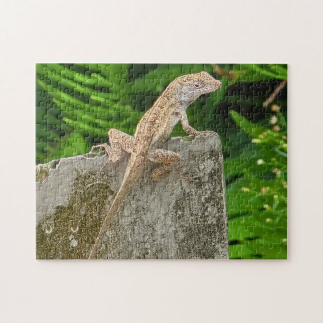 Puzzle Maestro del Camuflaje (Horizontal)