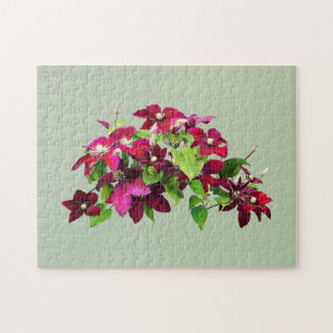 Puzzle Magenta Clematis Con Vino