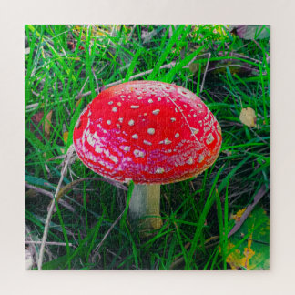 Puzzle Magia Mushroom Fungi Red Nature Escenario Jig al a