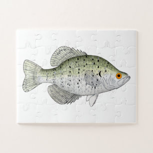 Puzzle Magnate Crappie blanco