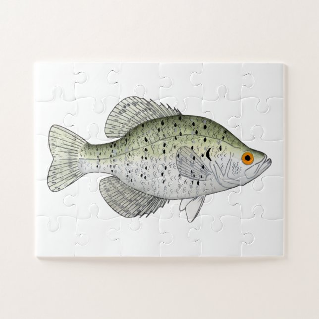 Puzzle Magnate Crappie blanco (Horizontal)
