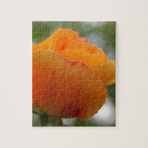 Magnífica fotografía de flores de rosa amarillo.