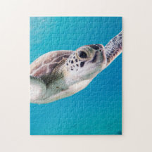 Magnífica tortuga marina nadando en el océano