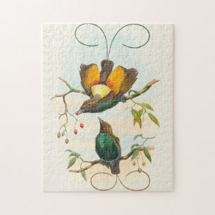 Puzzle Magnifico Ave del Paraíso por John Gould