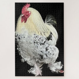 Puzzle Magnífico Cockerel no 2