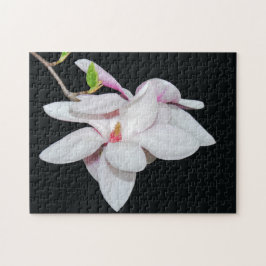 Puzzle Magnolia blanca