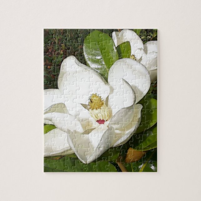 Puzzle Magnolia Blossom (Vertical)