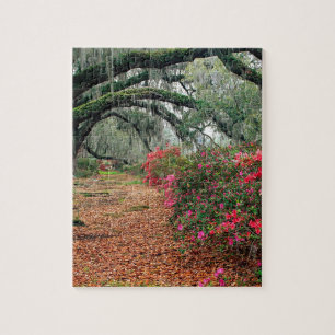 Puzzle Magnolia Charleston de los robles de las azaleas