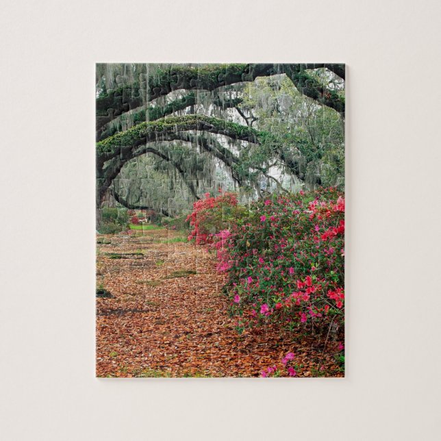 Puzzle Magnolia Charleston de los robles de las azaleas (Vertical)