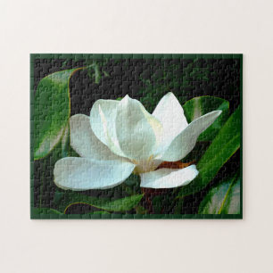 Puzzle Magnolia Closeup