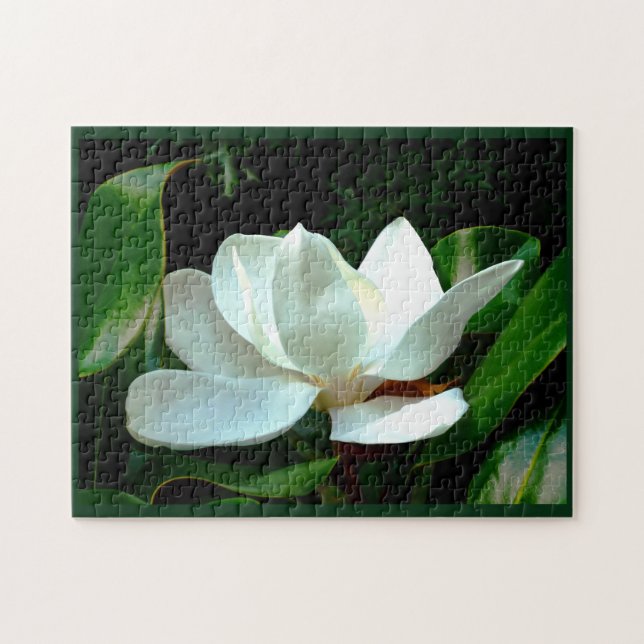 Puzzle Magnolia Closeup (Horizontal)