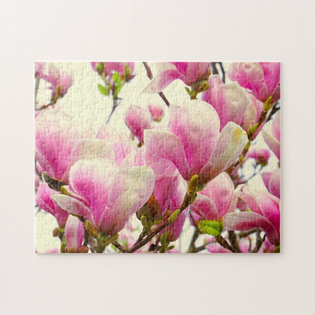 Puzzle Magnolia Flores Moda Floral Blossom Botánica (Horizontal)