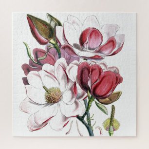 Puzzle Magnolia Ilustracion antiguo de cosecha de flores 