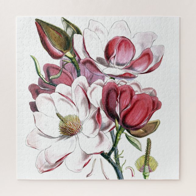 Puzzle Magnolia Ilustracion antiguo de cosecha de flores  (Vertical)