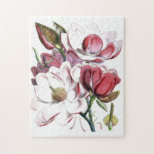 Puzzle Magnolia Ilustracion antiguo de cosecha de flores 