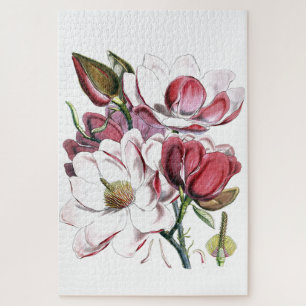 Puzzle Magnolia Ilustracion antiguo de cosecha de flores 
