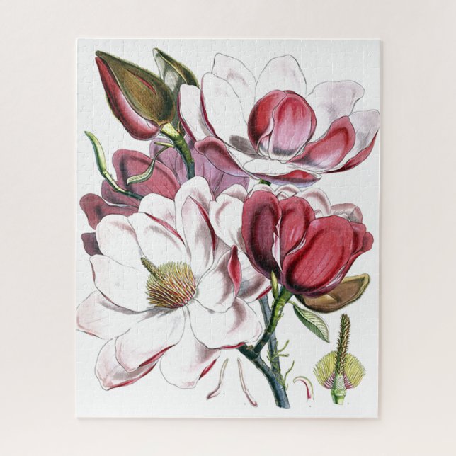 Puzzle Magnolia Ilustracion antiguo de cosecha de flores  (Vertical)