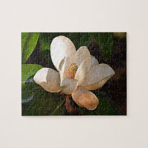 Puzzle Magnolia meridional de Luisiana