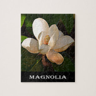 Puzzle Magnolia (Mississippi y Luisiana)