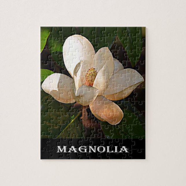 Puzzle Magnolia (Mississippi y Luisiana) (Vertical)
