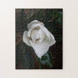 Puzzle magnolias 1