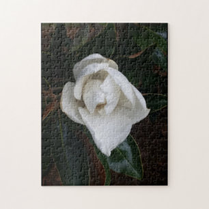 Puzzle magnolias 1