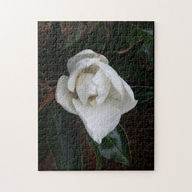 Puzzle magnolias 1 (Vertical)