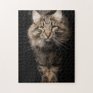 Puzzle Maine Coon big cat 