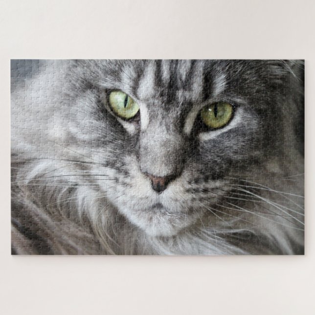 Puzzle Maine Coon Kitty Cat Cute Fun Animal (Horizontal)