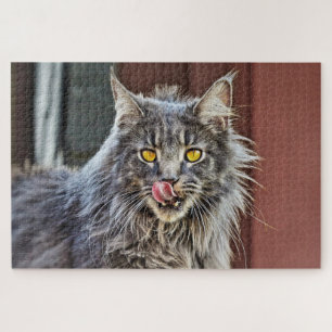 Puzzle Maine Coon Kitty Cat Cute Fun Animal