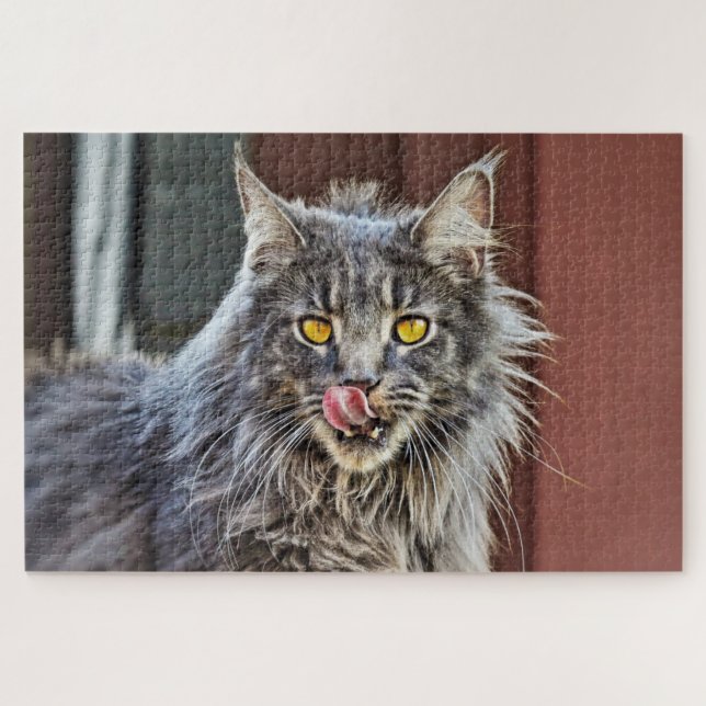 Puzzle Maine Coon Kitty Cat Cute Fun Animal (Horizontal)