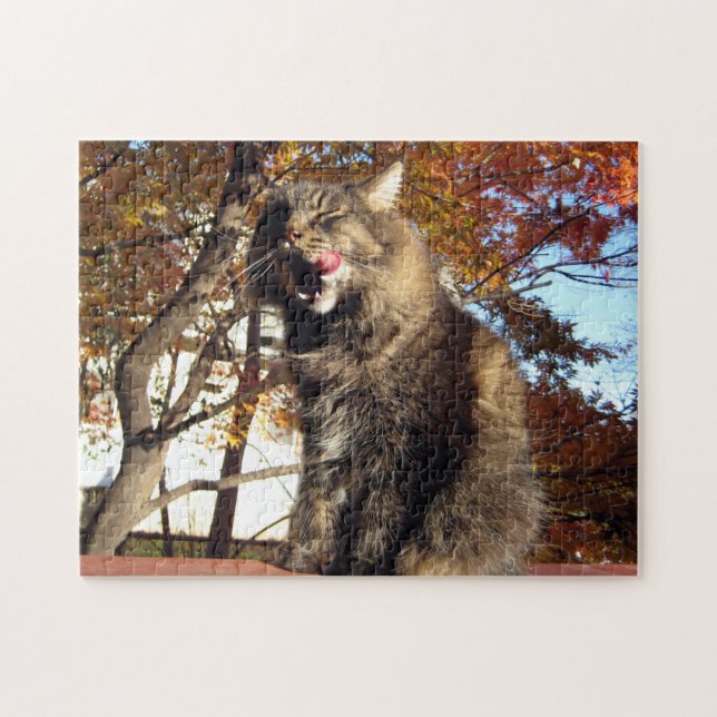 Puzzle Maine Coon Kitty Cat Cute Fun Animal (Horizontal)