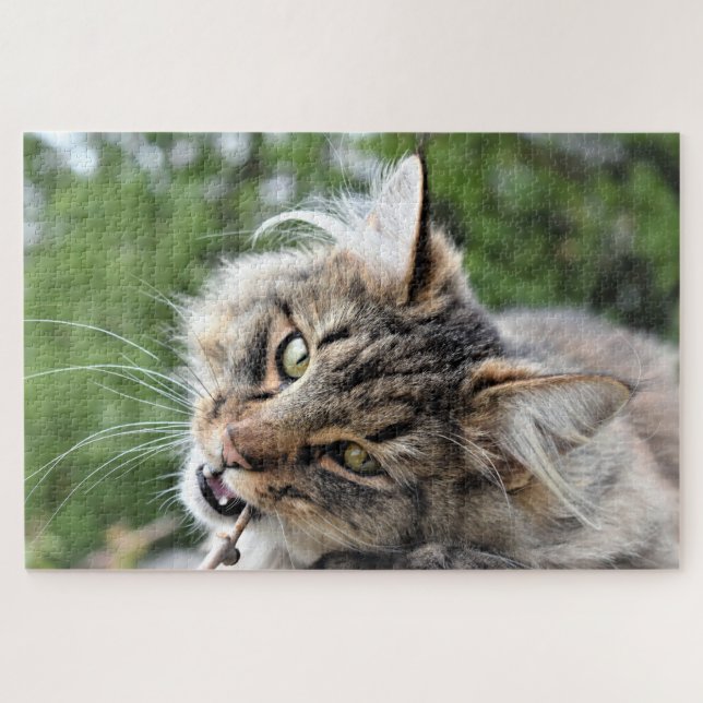 Puzzle Maine Coon Kitty Cat Cute Fun Animal (Horizontal)