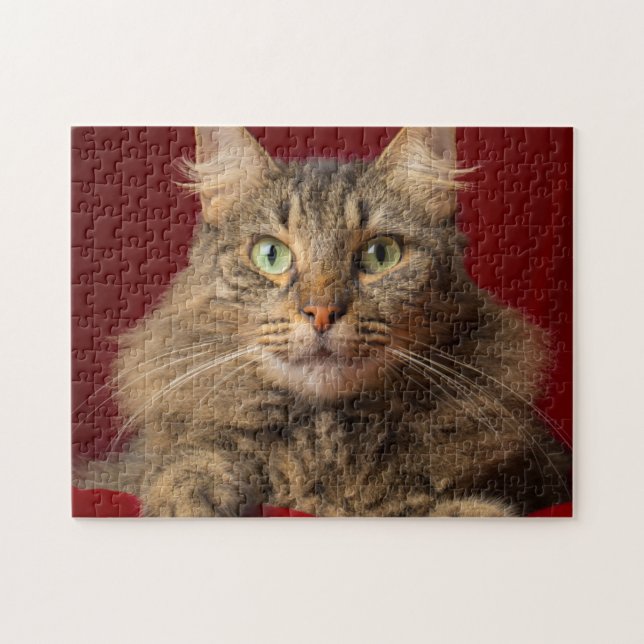 Puzzle Maine Coon para Navidades con coleccionista (Horizontal)