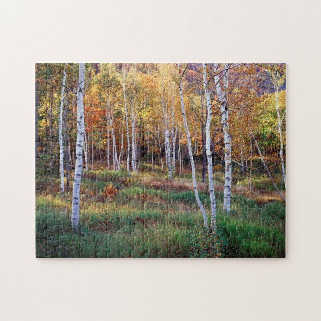 Puzzle Maine, Parque Nacional Acadia, Otoño (Horizontal)