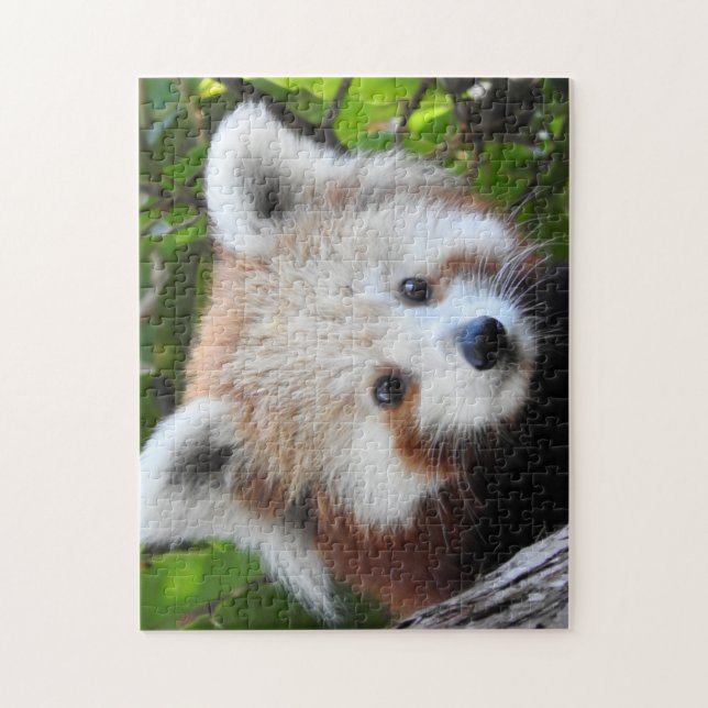 Puzzle Maiya la panda roja (Vertical)