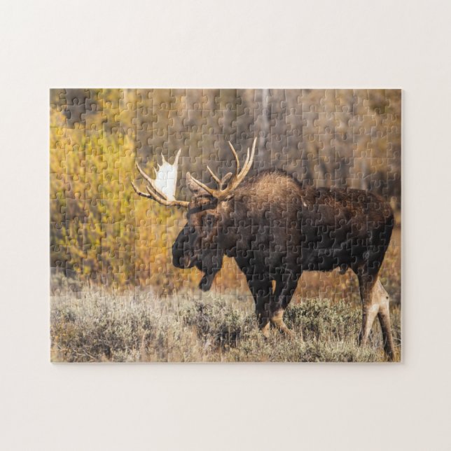 Puzzle Majestic Moose In The Wild Photo (Horizontal)